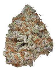 Blue God Cannabis Seeds - Image 2