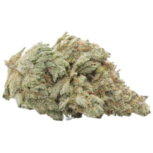 CBD Yummy Cannabis Seeds - Image 2