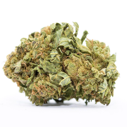 Cheese Quake Cannabis Seeds - Image 2