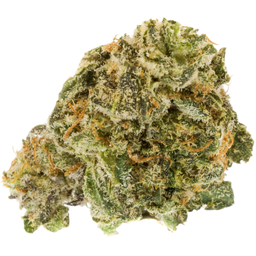 Hindu Skunk Cannabis Seeds - Image 2