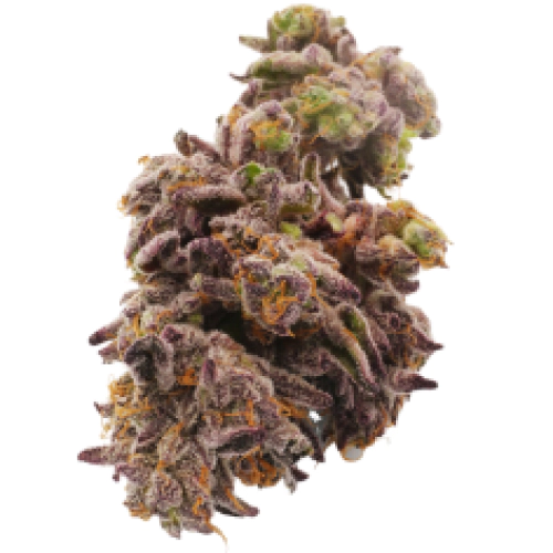 Jack Frost Cannabis Seeds - Image 2