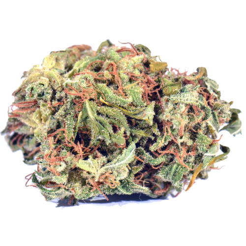 Lavender Jones Cannabis Seeds - Image 2