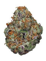 Lucid Dream Kush Cannabis Seeds - Image 2
