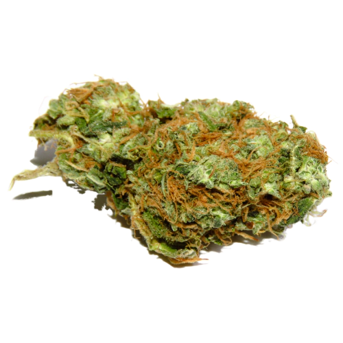 Motorbreath #15 Cannabis Seeds - Image 2