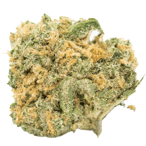 Sour Amnesia Cannabis Seeds - Image 2