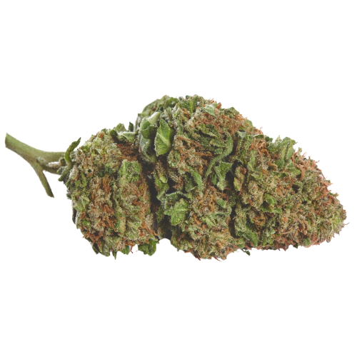 Sour Girl Cannabis Seeds - Image 2
