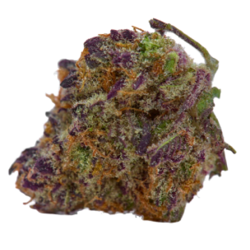 Sour Tsunami CBD Cannabis Seeds - Image 2