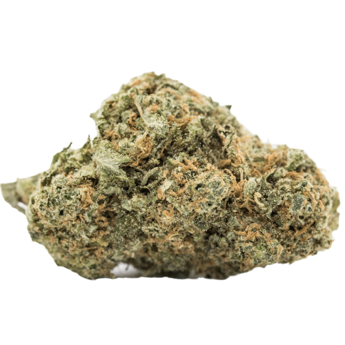 Woody Kush Cannabis Seeds - Image 2