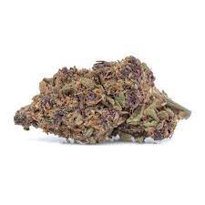 Blue Fruit Cannabis Seeds - Image 2