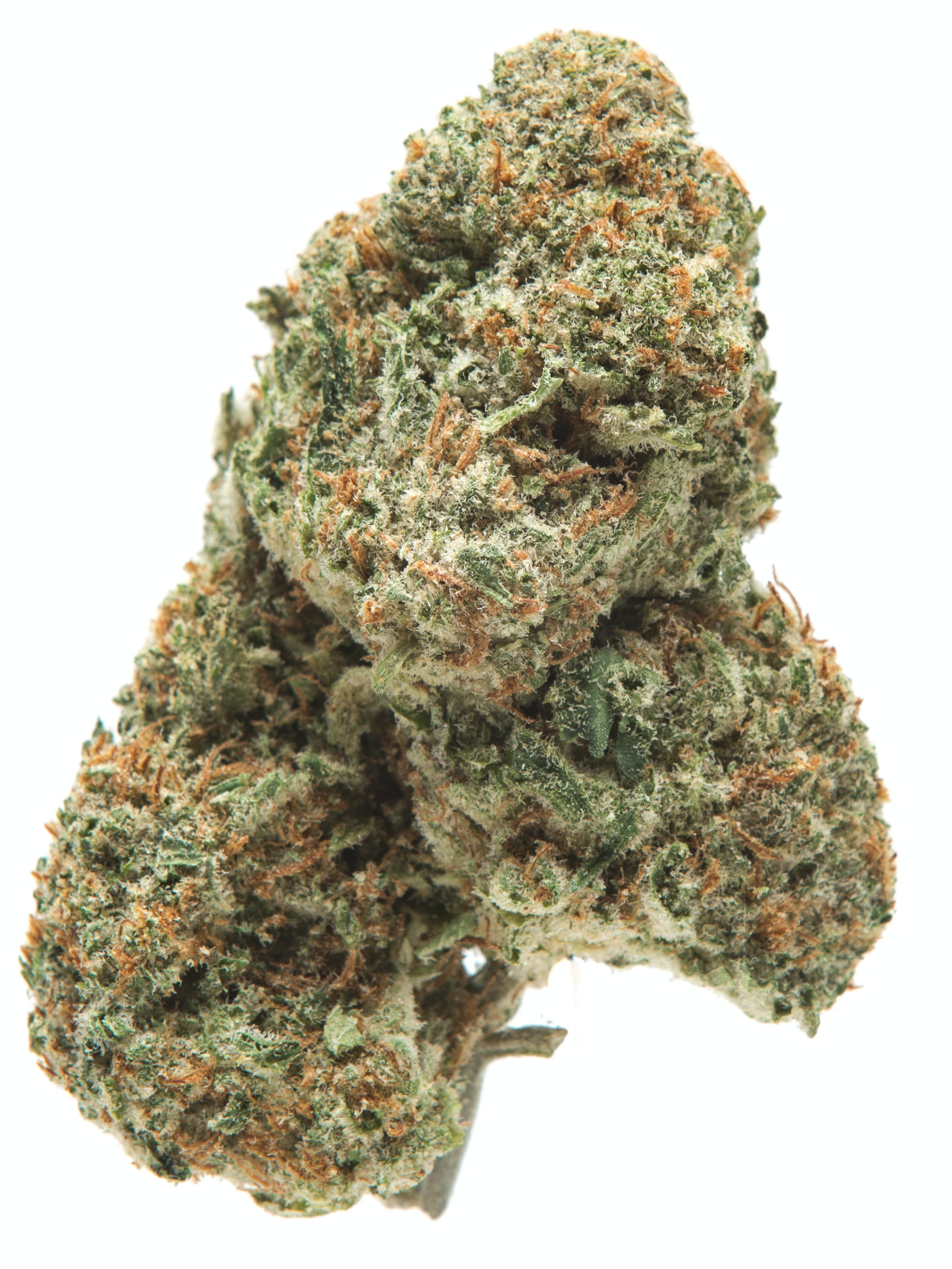 Kali Mist Cannabis Seeds - Image 2