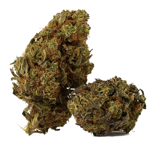 Lemon Drizzle Cannabis Seeds - Image 2