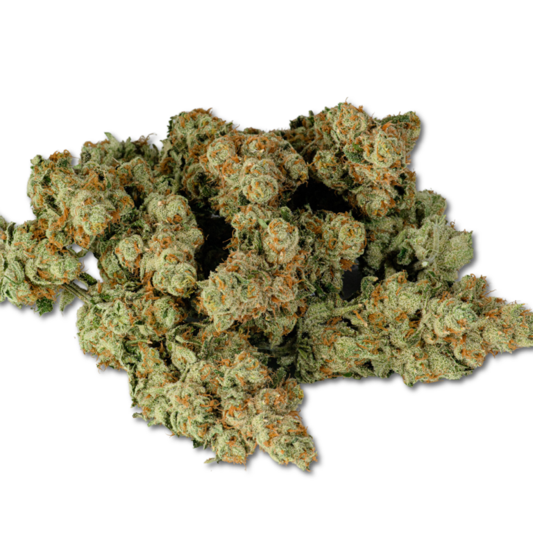 Lodi Dodi Cannabis Seeds - Image 2