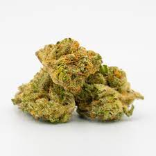 Melting Pot Cannabis Seeds - Image 2