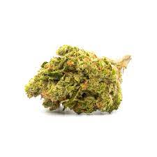 Northern Sunrise Cannabis Seeds - Image 2