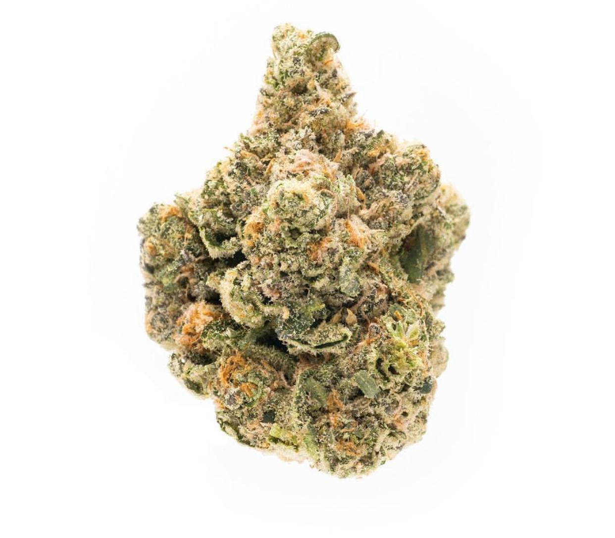 Raskal OG Cannabis Seeds - Image 2