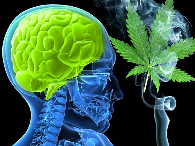 Cannabis helps with Alzheimer's Disease 