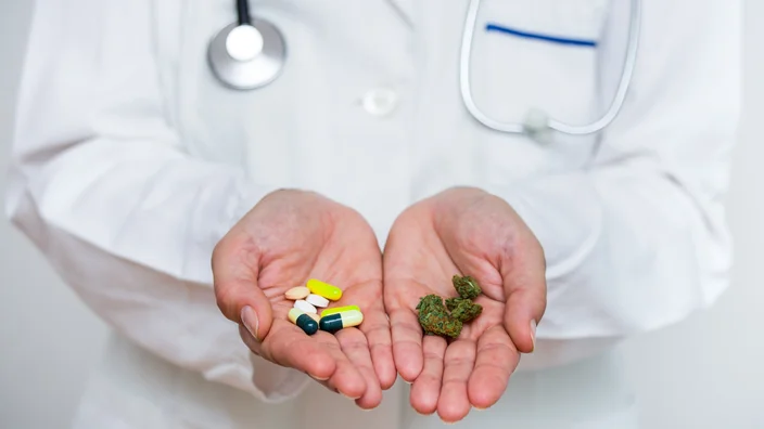 Cannabis can replace opiate