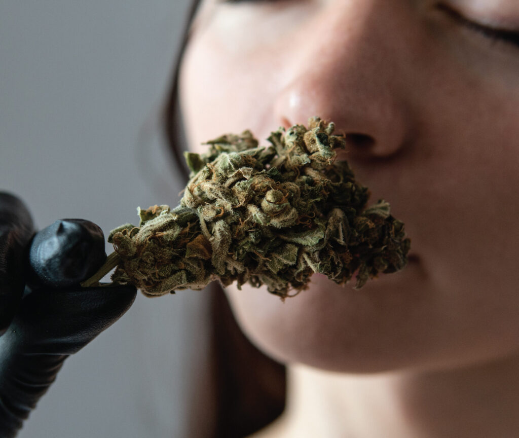 Cannabis smell and flavour
