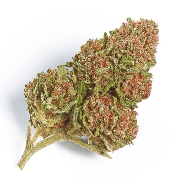 Lemon Crush Cannabis Seeds - Image 2