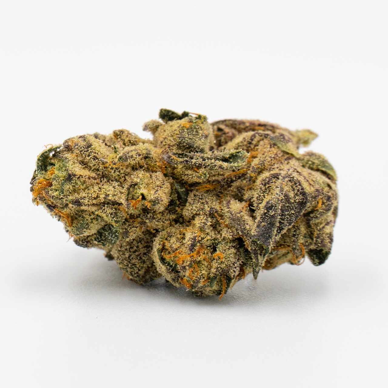 Black Water Purple OG Cheese Cannabis Seeds - Image 2