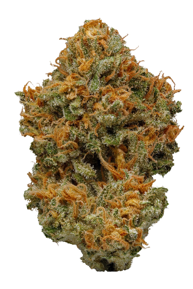 Steve's Dream Queen Cannabis Seeds - Image 2