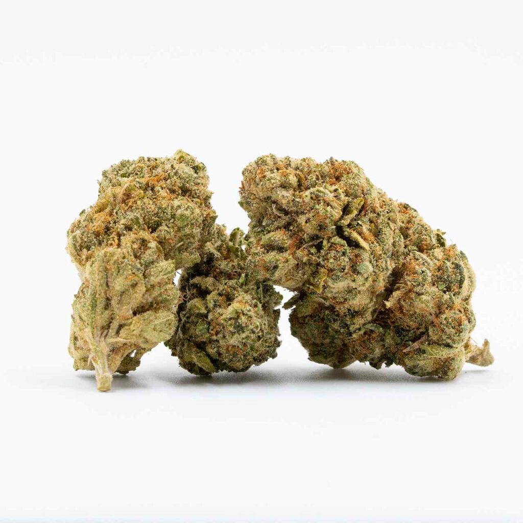 Badazz Cheese Cannabis Seeds strain