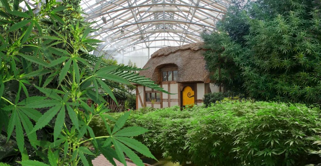 Botanical Innovation