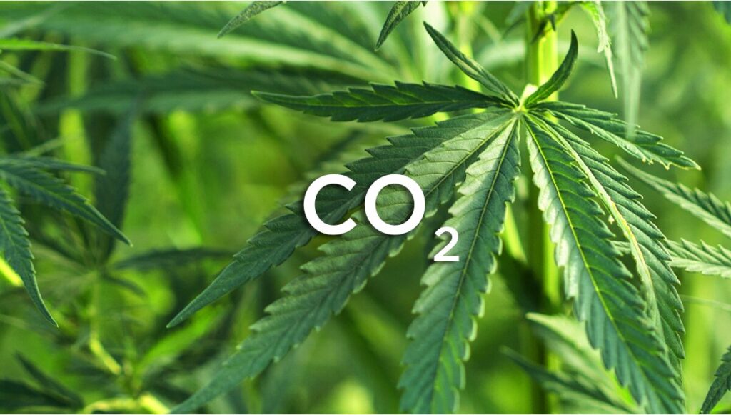 CO2 Levels