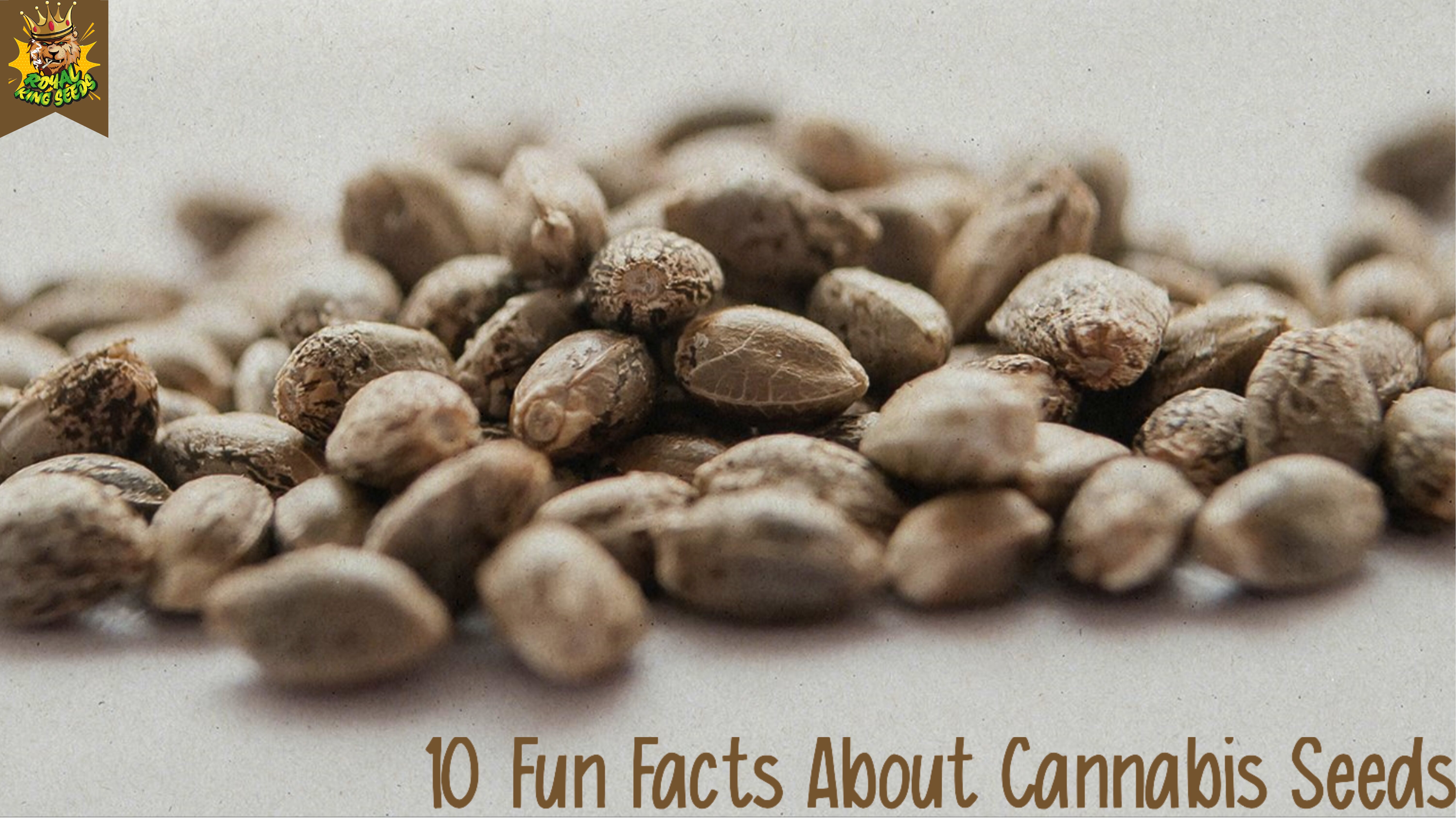 Fun facts