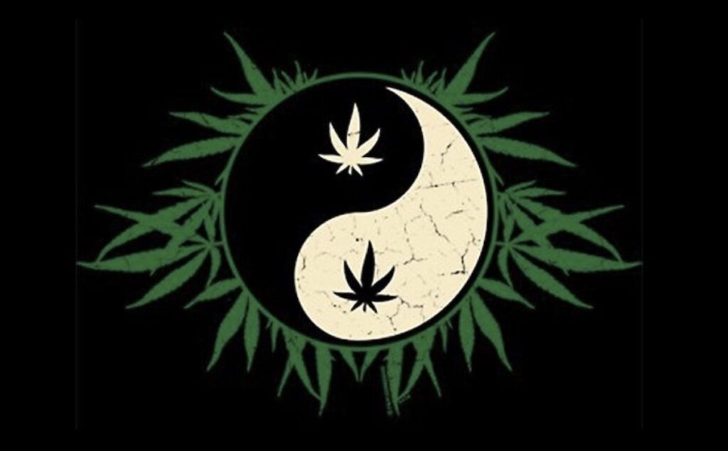 The Yin and Yang of Cannabis and Dreams