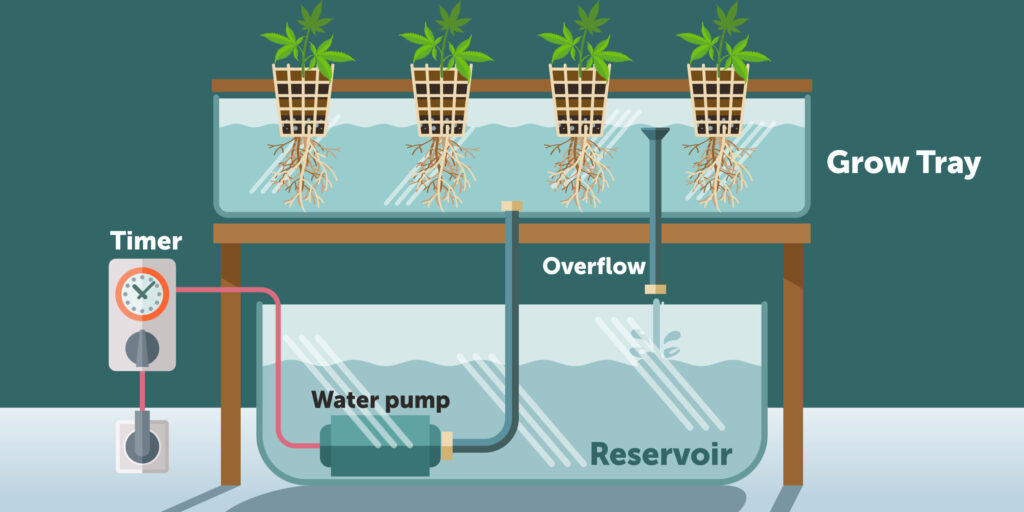 Ebb and Flood Systems