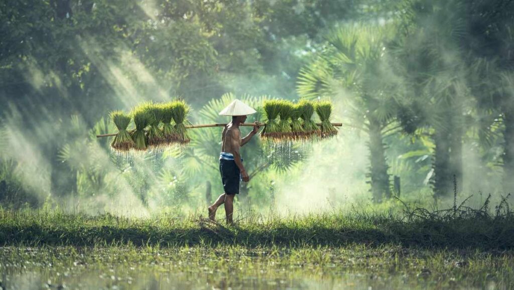 Key Guidelines for Achieving Success