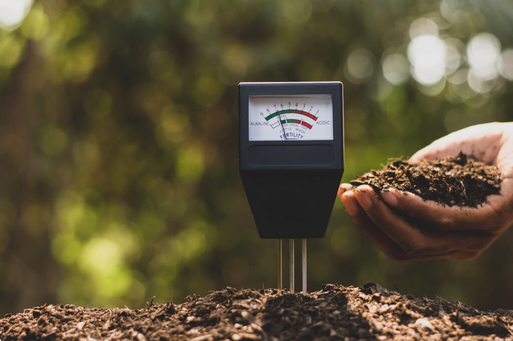 Maintaining Optimal pH in Cannabis Cultivation