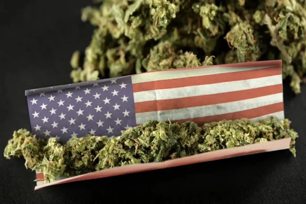 american weed 1
