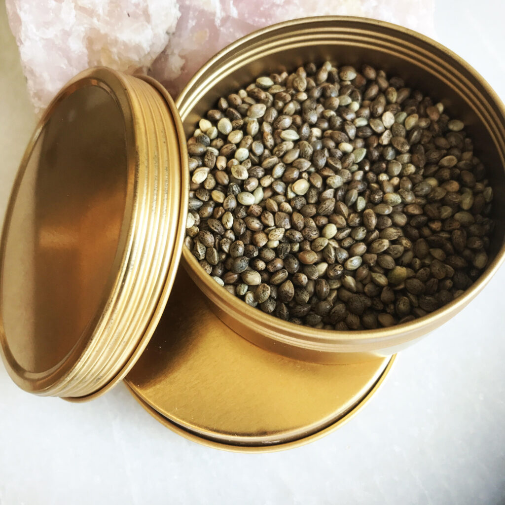 Seeds in Northern Territory