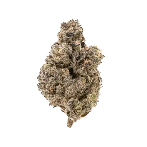 Purple Lemonade Cannabis Seeds - Image 2