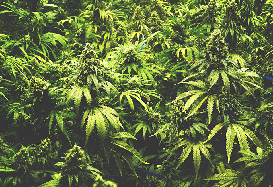 dddddddddddddddddddd