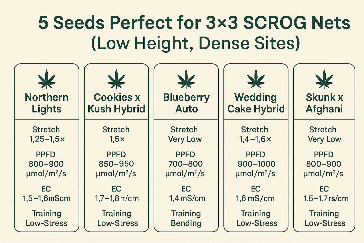 3×3 SCROG seeds