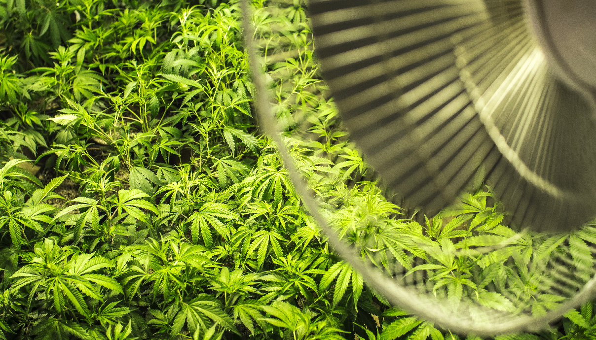 634e76a38427c7187979a5a4f0087547