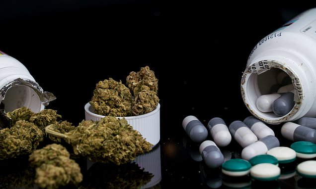 Medical Benefits of Blue Dragon