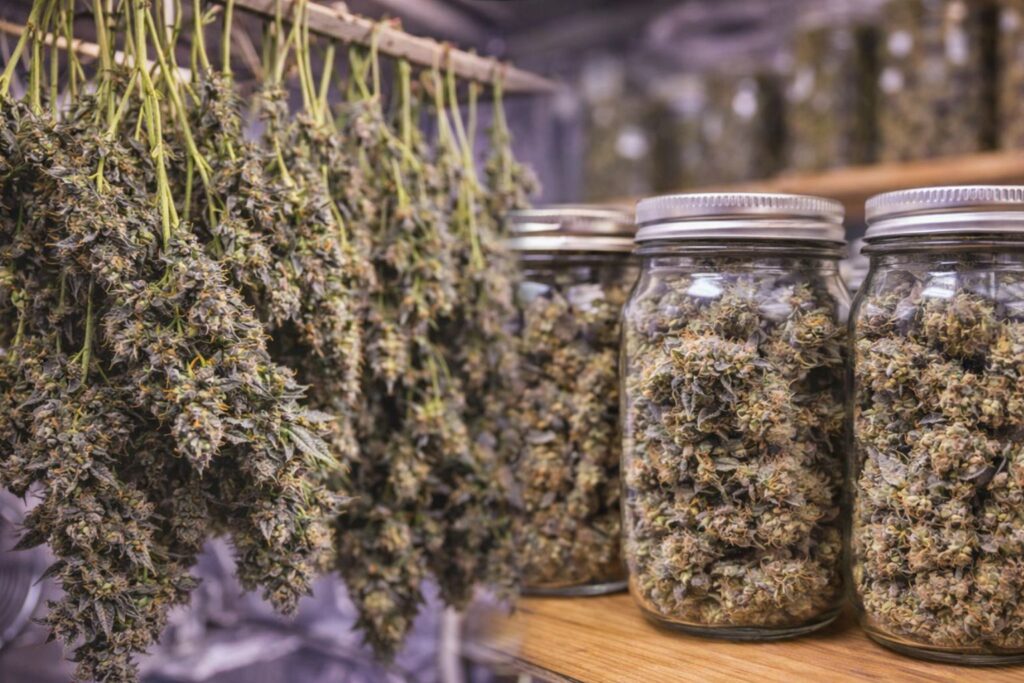 alien rift drying and curing