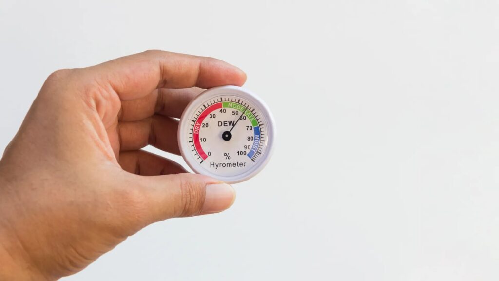Appropriate Humidity Levels for Seedlings