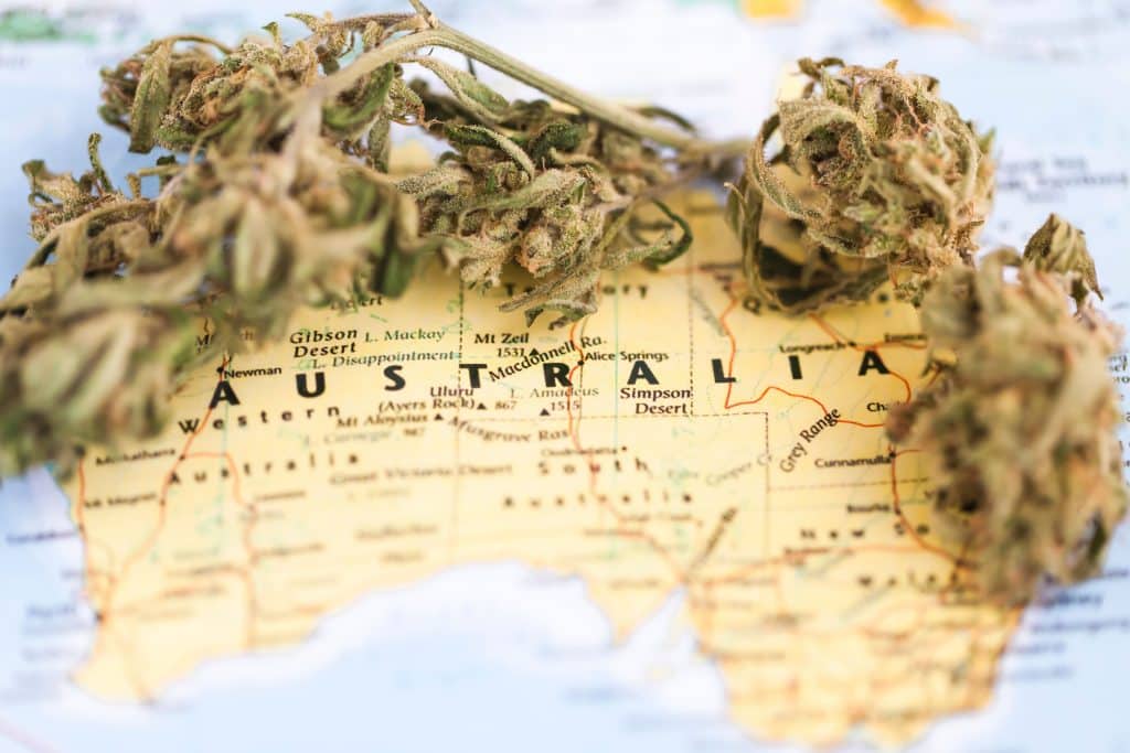 Australia has growing medical cannabis industry 1024x683 1