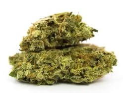 Best Cannabis Seeds for Balcony or Patio Grows i