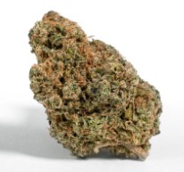 Best Cannabis Seeds for Cold Climates e