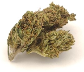 Best strain for degenerative disc disease q