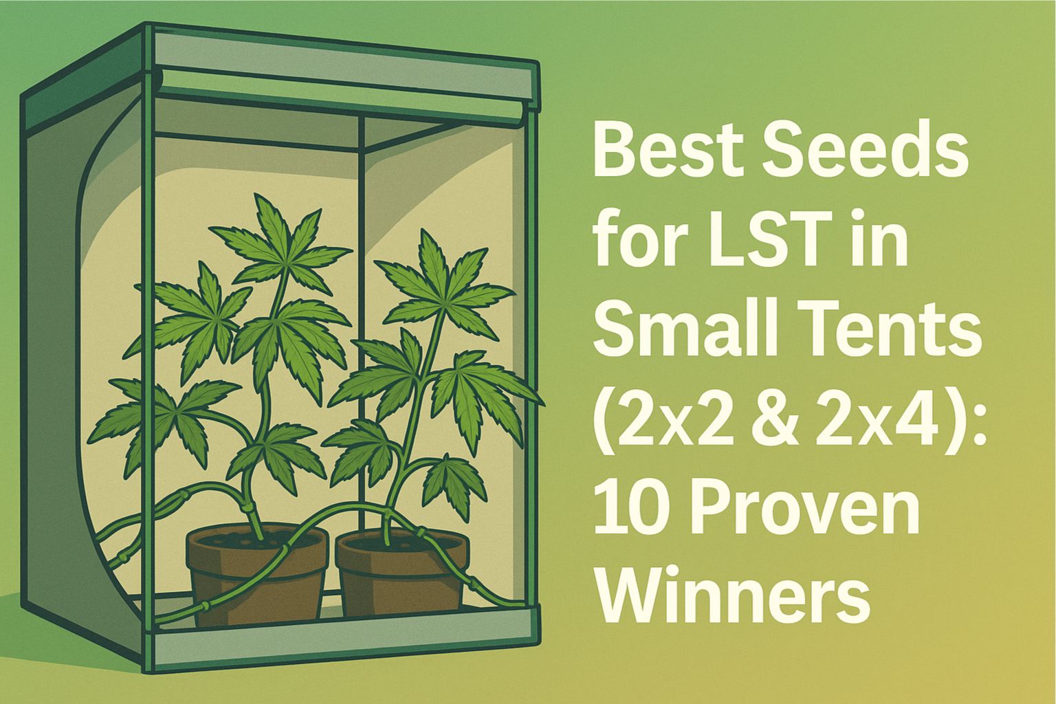 best seeds for LST