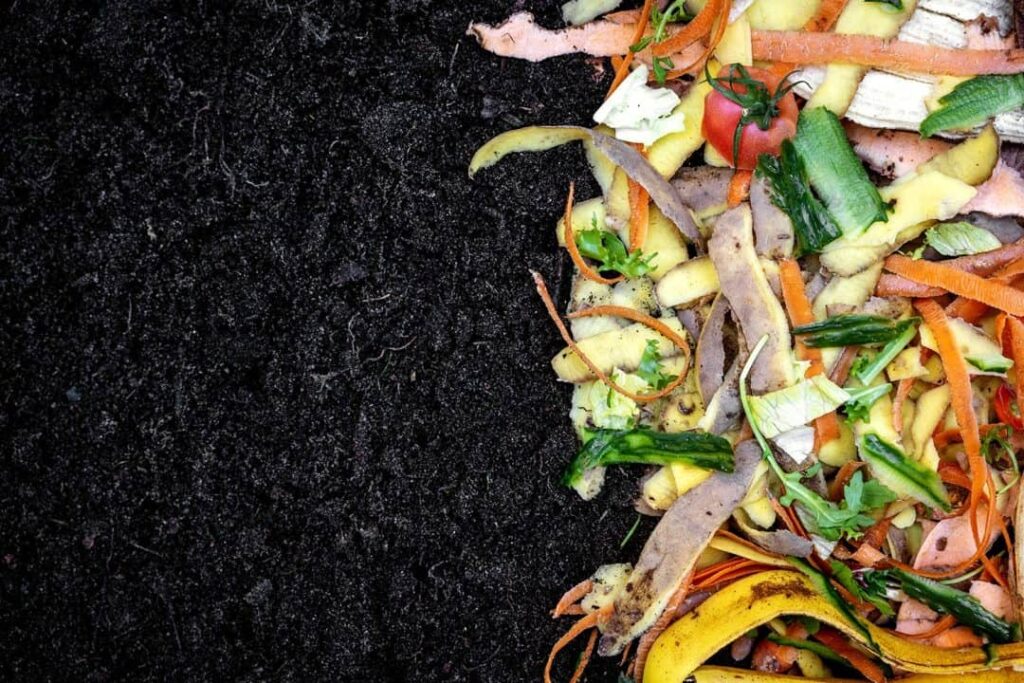 Biodegradable kitchen waste on soil. composting organic food leftovers 1080x720 1