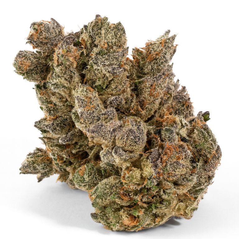 Black Rose Cannabis Bud