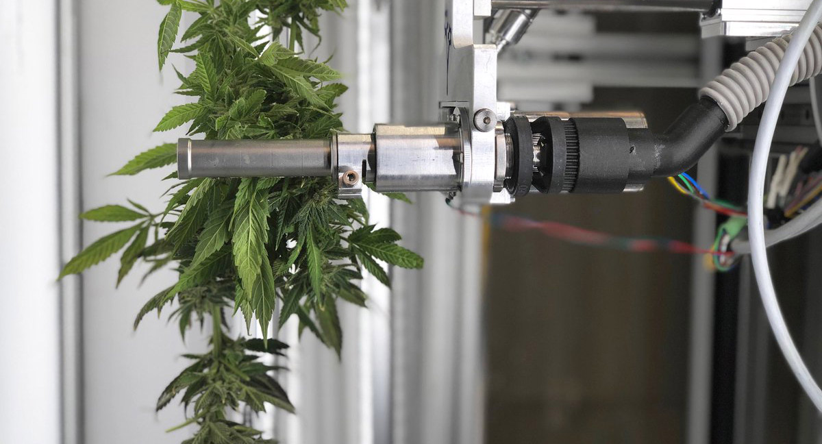 Bloom Automation trimming robot uses plant model for accuracy